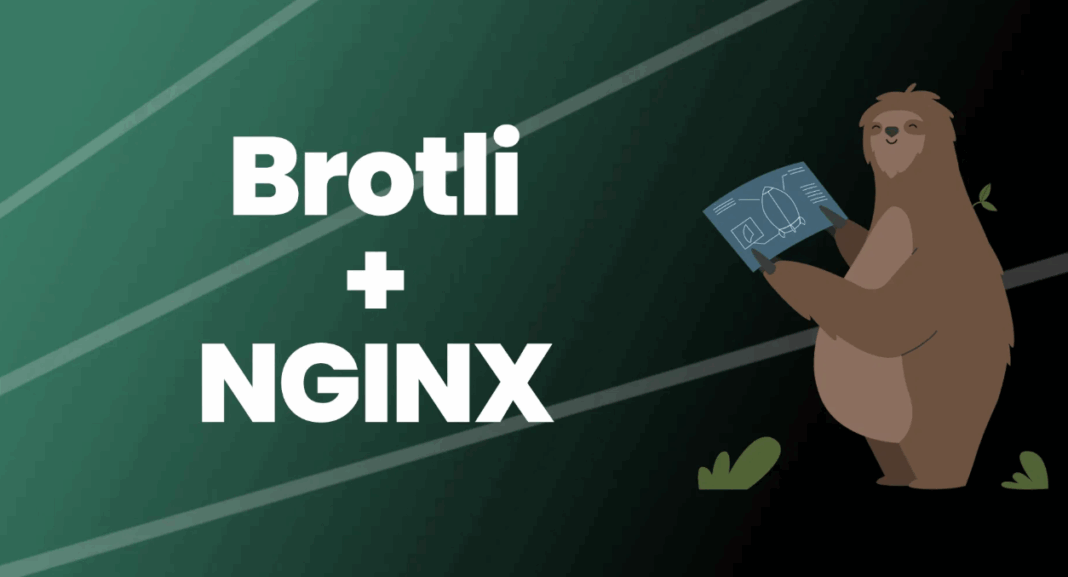 brotli checker