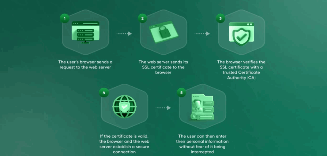 lookup ssl certificate information